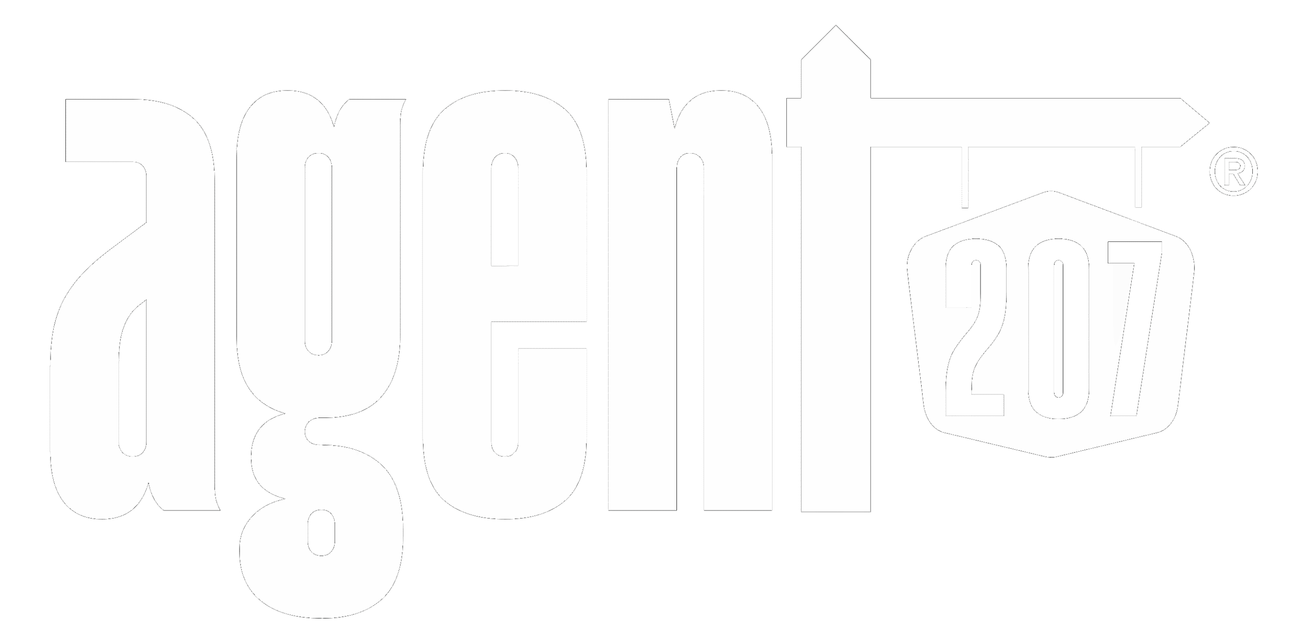 agent207 primary logo